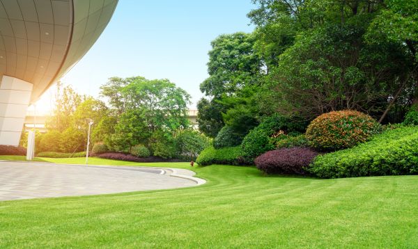 Cost of Commercial Lawn Mowing in Kissimmee