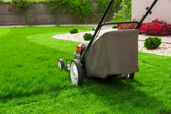 Cost of Lawn Mowing in Kissimmee