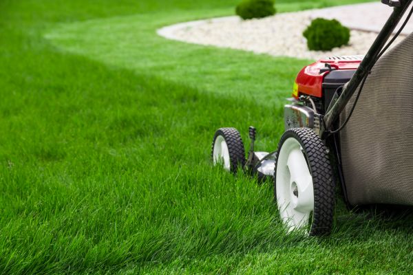 Cost of Mowing Service in Kissimmee