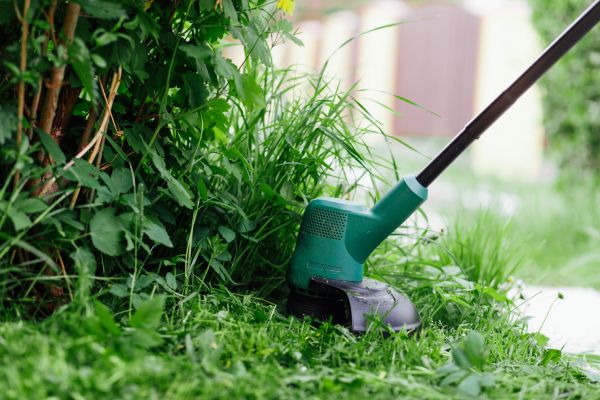 Cost of Weed Whacking in Kissimmee