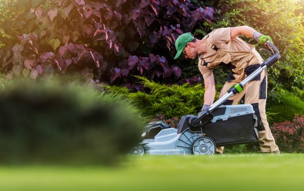Cost of Yard Care Service in Kissimmee