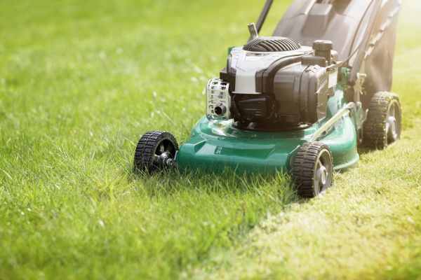 Cost of Yard Cutting in Kissimmee