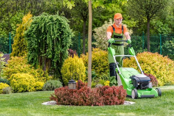 Cost of Yard Service in Kissimmee