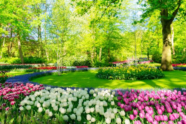 Cost of Spring Lawn Care in Kissimmee