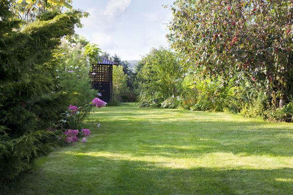 Cost of Yard Upkeep Service in Kissimmee