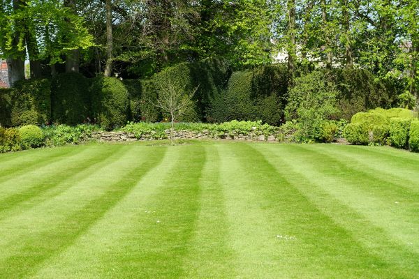 Cost of Grass Care Service in Kissimmee