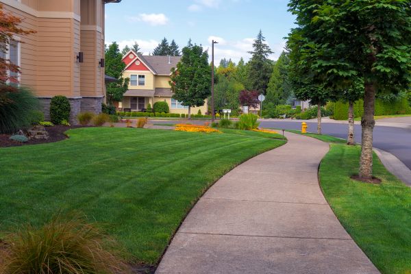 Cost of Home Lawn Maintenance in Kissimmee