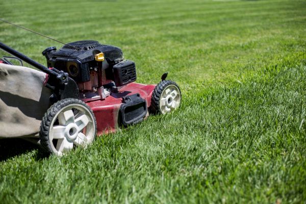 Cost of Routine Lawn Care in Kissimmee