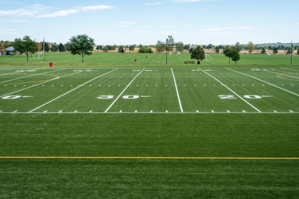 Cost of Groundskeeping Service in Kissimmee