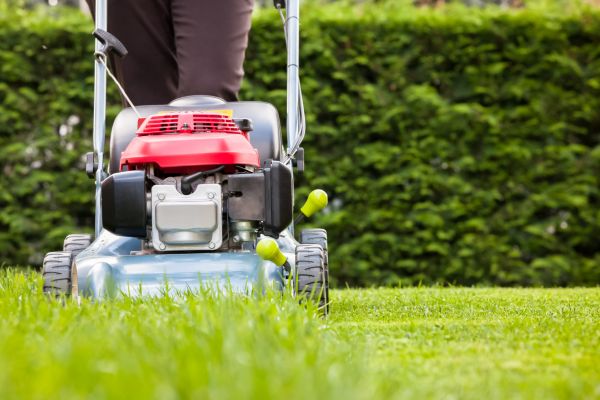 Cost of Grass Trimming Service in Kissimmee