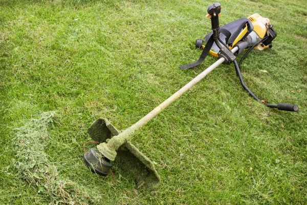 Cost of Hillside Weed Whacking in Kissimmee