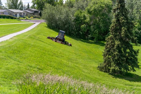 Cost of Hillside Mowing in Kissimmee