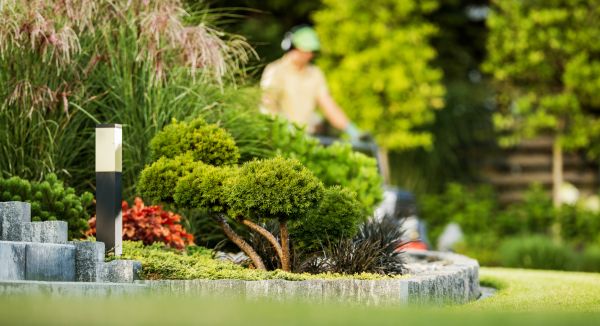 Cost of Residential Yard Maintenance in Kissimmee