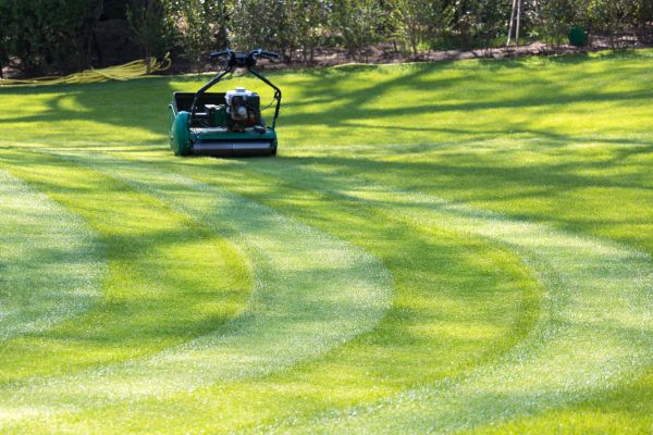 Cost of Business Lawn Mowing in Kissimmee