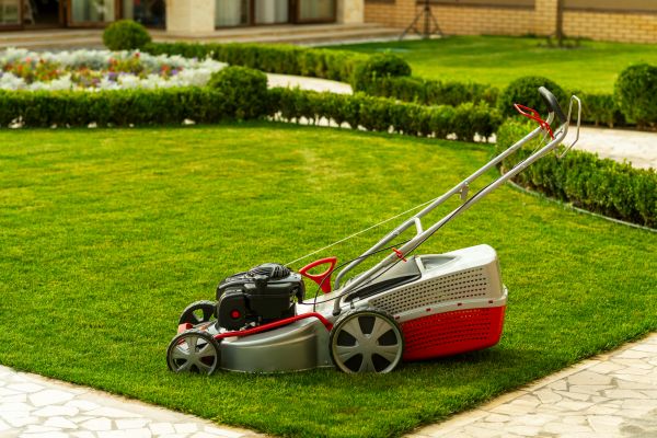 Cost of Business Grass Cutting in Kissimmee