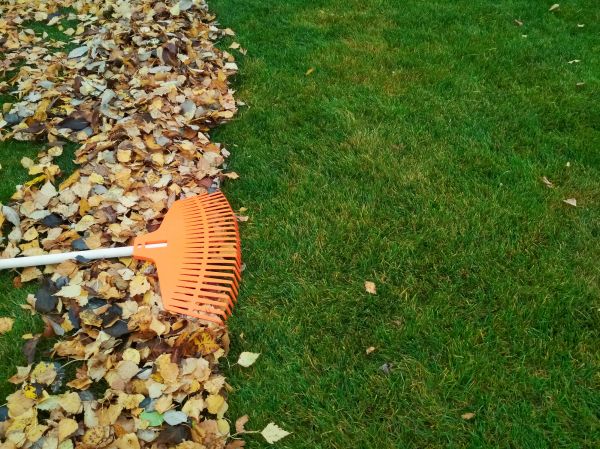Cost of Fall Lawn Care in Kissimmee