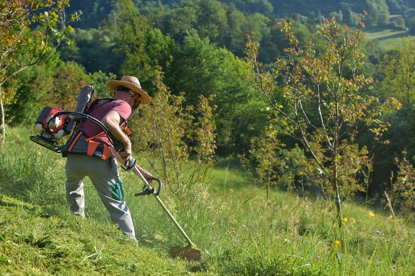 Cost of Slope Mowing in Kissimmee