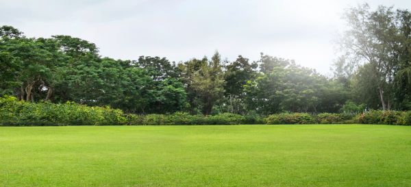 Cost of Golf Course Mowing in Kissimmee
