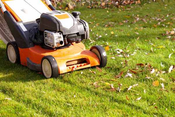 Cost of Fall Mowing in Kissimmee