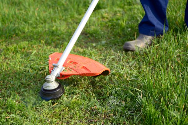 Cost of Lawn Weed Whacking in Kissimmee