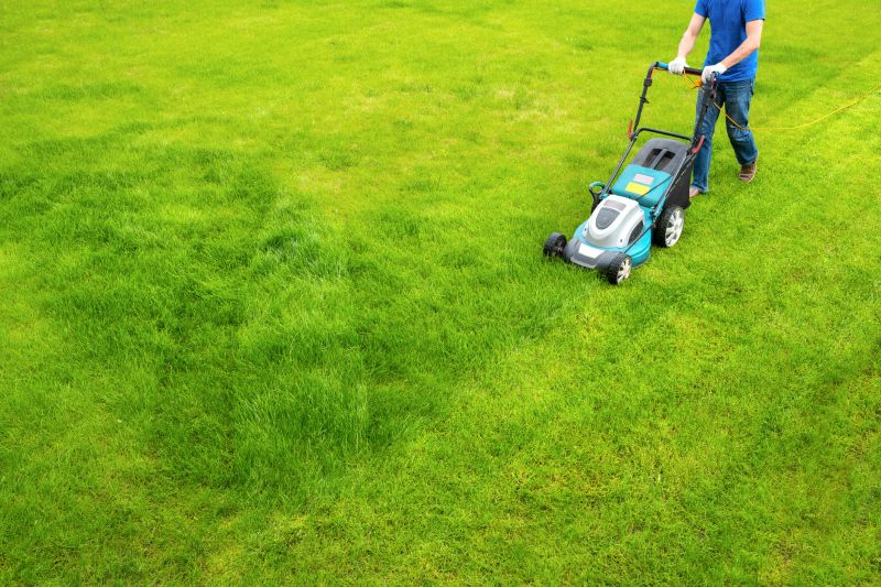 Commercial Lawn Mowing detail