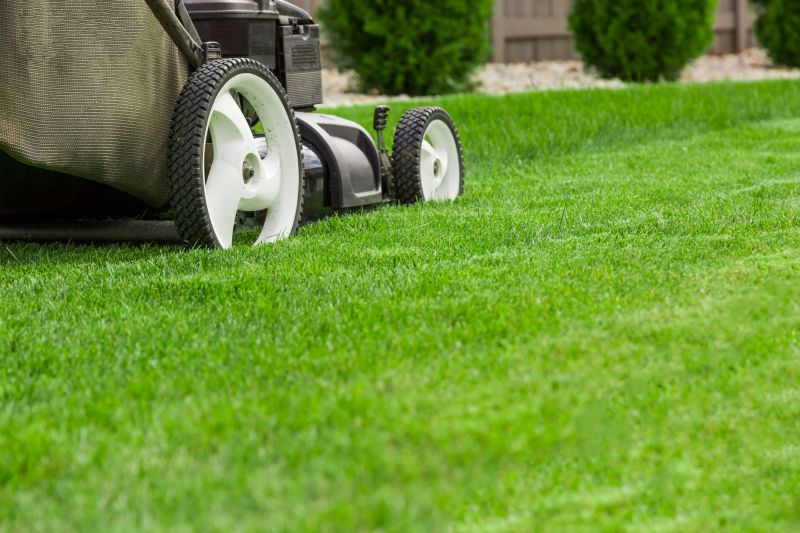 Residential Lawn Care detail