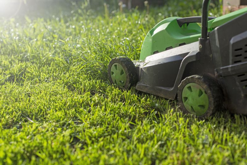 Summer Mowing Maintenance