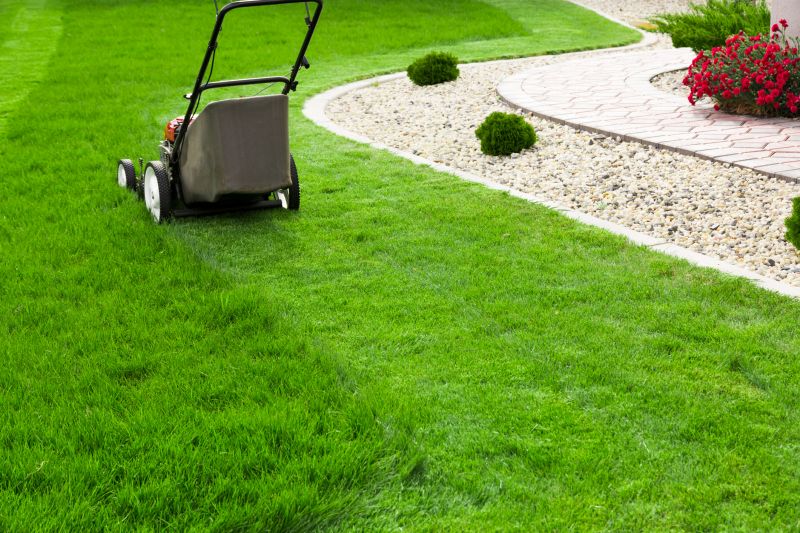 Summer Lawn Maintenance