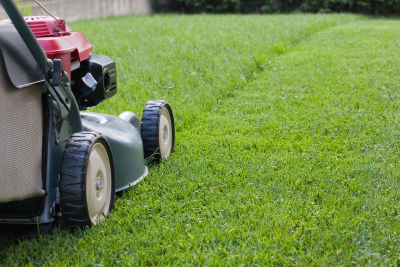 Year-Round Lawn Care